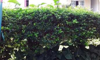 Imagem: Aluga-se edícula centro