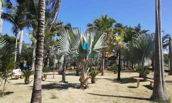 Imagem 4: Rancho à venda - Aparecida do Taboado/MS