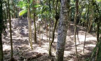 Imagem: Friburgo - Mury Oportunidade! Condomínio!