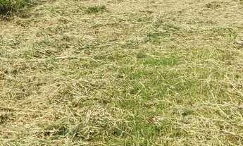 Imagem 5: Terreno imperdível matinhos litoral