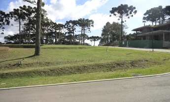 Imagem 3: TERRENO EM UM CONDOMÍNIO ÚNICO, COM INFRAESTRUTURA COMPLETA, AGENDE SUA VISITA