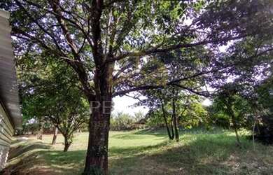 Imagem 4: área - Chácaras São Martinho - Campinas