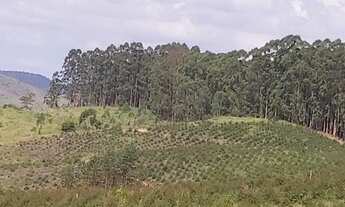 Imagem 4: Quem investe em terra não erra!