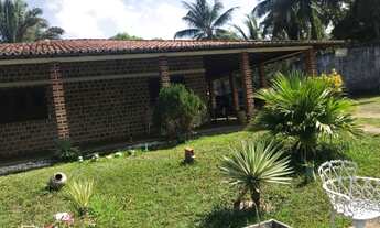 Imagem 5: VENDO CHÁCARA EM FRENTE WANG PARK ACEITAMOS CARRO E APARTAMENTO COMO PARTE DO PAGAMENTO