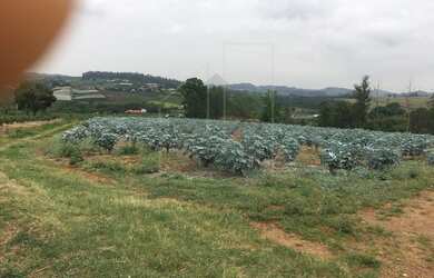 Imagem 6: área - Cidade Singer - Campinas