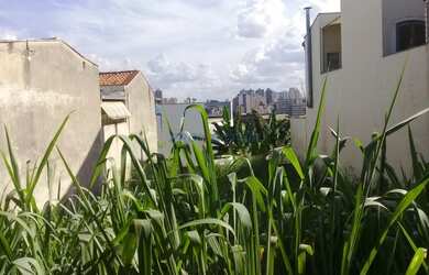 Imagem 6: Terreno - Jardim Paraíso - Campinas