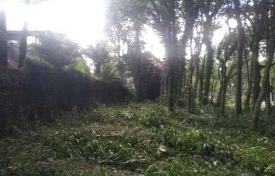 Imagem 6: Gramado - Terreno Padrão - Mato Queimado