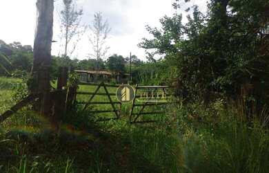 Imagem 4: Fazenda em Japecanga