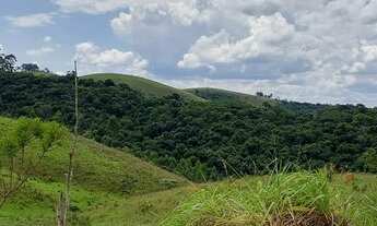 Imagem 5: Terreno com ótima qualidade a venda !!