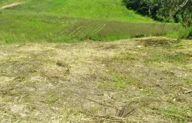 Imagem 2: Vendo agora esses terrenos em cotia!