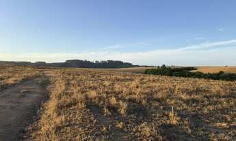 Imagem 6: Lavoura de soja Fazenda / sítio com venda por R$12.900.000