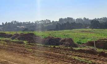 Imagem 4: Vendo terreno em ibuina lote/Terreno para venda possui 500 metros quadrados em Centro - Ib