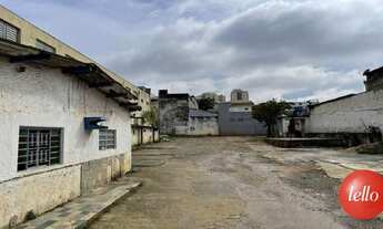 Imagem 2: São Paulo - Terreno Padrão - Vila Prudente