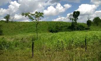 Imagem 7: Fazenda para venda. Com 1.419 ha em Jequitibá - Mundo Novo - BA