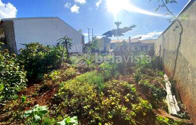 Imagem 5: VENDA DE TERRENO NO JARDIM CATUAI EM CAMBIRA