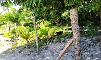 Imagem 2: Vendo terreno 10x30m