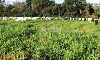 Imagem 4: Vender ou comprar sua chácara ou Fazenda