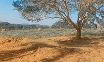 Imagem 3: R5- Agende á visita e venha conhecer o Lote/Terreno para venda tem 600m² - Igaratá - SP