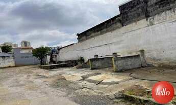 Imagem 4: São Paulo - Terreno Padrão - Vila Prudente