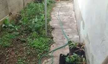 Imagem 4: Vendo casa em Perobas( Domingos Martins