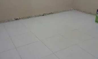 Imagem 5: Apartamento proprio