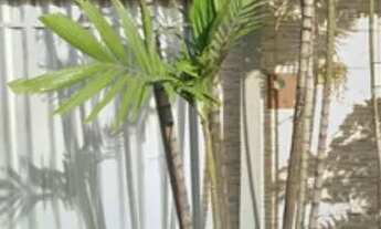 Imagem: Casa Mondubim 3Qts 2St, 133m² - Fortaleza/