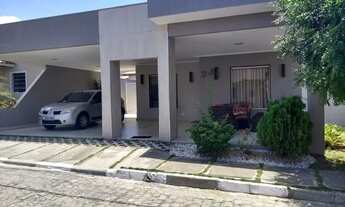 Imagem: Casa de alto padrão no Palm Garden