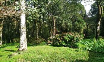 Imagem 7: Casa na Linha Tapera em Gamado!