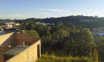 Imagem 6: Vendo terreno campo Magro boa vista 2 79900