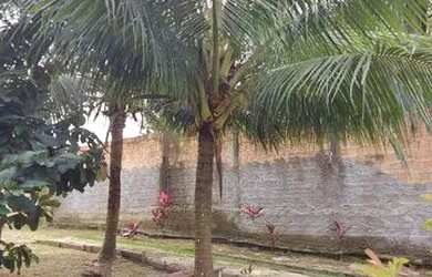 Imagem 7: Casa para venda tem 60 metros quadrados com 2 quartos em Da Paz - Manaus - AM