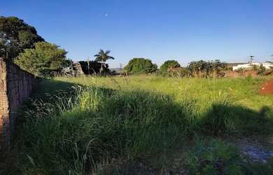 Imagem 3: Terreno 1000 Bairro Nv. Aliança Sarandi