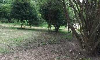 Imagem 5: São José dos Campos - Chácara - Buquirinha II