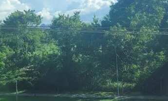 Imagem 5: Apartamento com 3 dormitórios à venda em Vitória