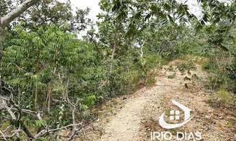 Imagem: Fazenda / Sítios / Chácaras à venda em