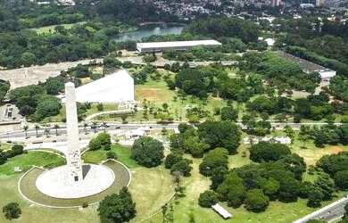 Imagem 5: Altier Moema Pássaros