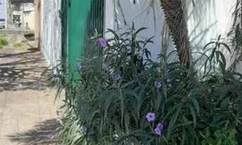 Imagem 3: Vende-se Casa + Salão Comercial