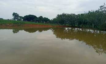 Imagem 3: COLÔNIA COM 50 HECTARES - BR 364 SENTIDO RIO BRANCO/ PORTO VELHO