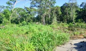 Imagem 5: Terreno Grande em Balneário Barra do Sul