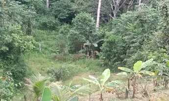 Imagem 4: CASA COM TERRENO GRANDE