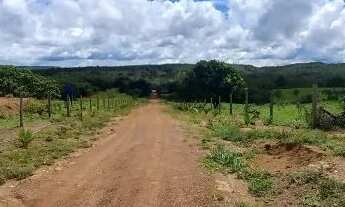 Imagem 6: Fazenda a venda planaltina escriturada dupla aptidão