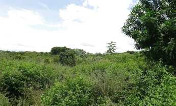 Imagem 6: Chácara de 310.000 m² à venda em Várzea Grande