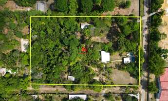 Imagem 3: Chácara com 100x150= 15.000m² de esquina | 100% murado