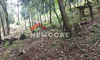 Imagem 5: Sítio em Rua Samambaia - Samambaia - São Francisco de Paula/RS