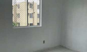 Imagem 4: Residencial Samambaia