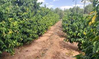 Imagem 4: Imóvel para venda possui 181500 metros quadrados em Zona Rural - Nova Granada - SP