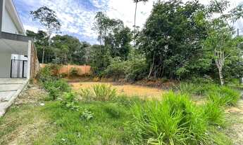 Imagem 2: Terreno no Alphaville Manaus pra Venda 12/30 com 368m² Limpo e Desmatado Manaus AM