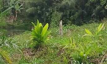 Imagem 3: Terreno para chácara em Juquiá