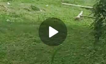 Imagem 3: Terreno em jesuítas