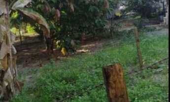 Imagem 2: Vendo sítio em monte gordo