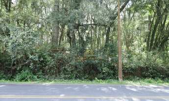 Imagem: 3 Lotes sendo dois de 20.000 m² e um de